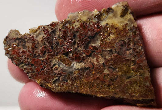 Bloody Basin Plume Agate Slab