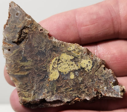 Bloody Basin Plume Agate Slab