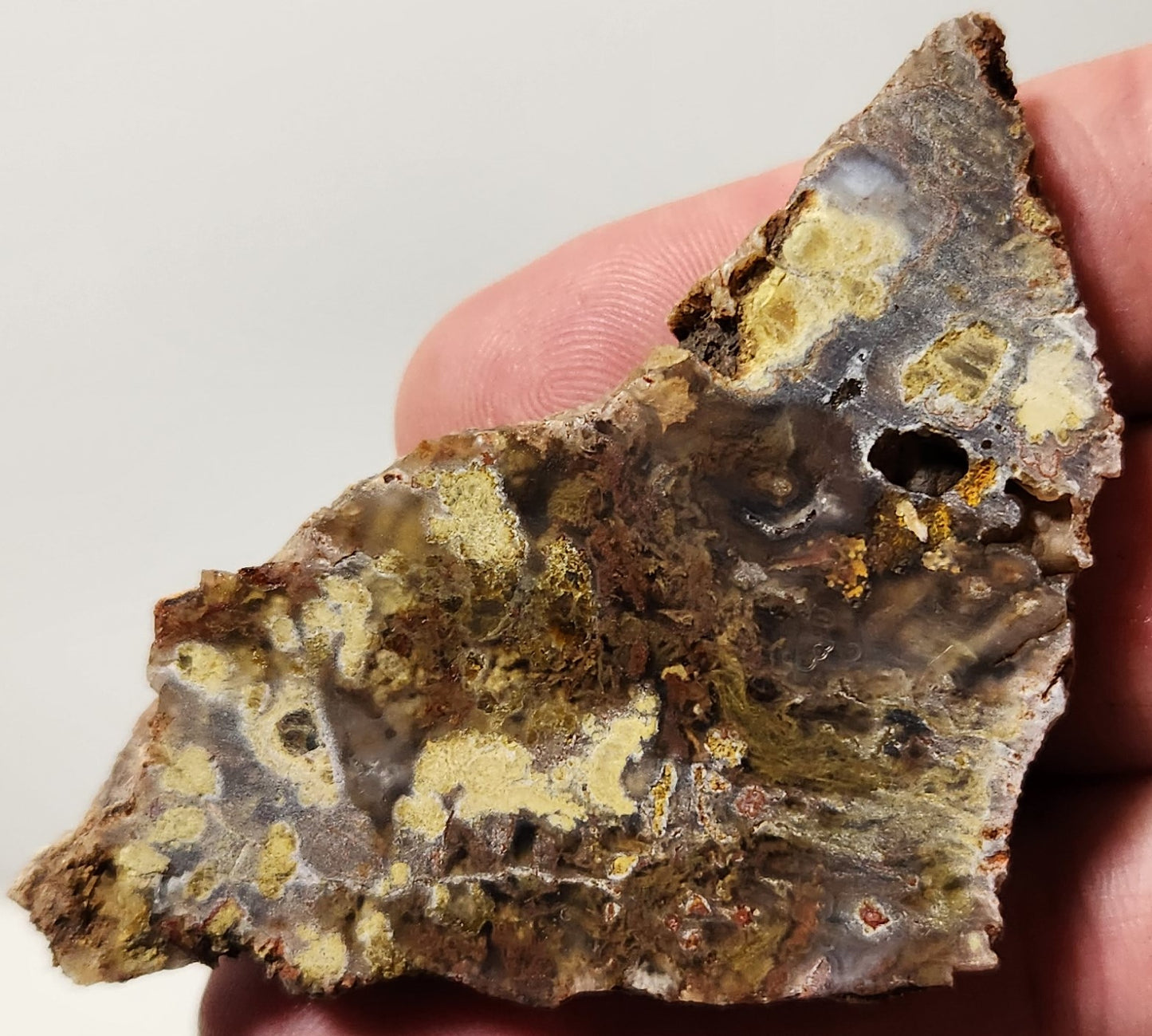 Bloody Basin Plume Agate Slab