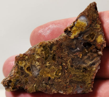 Bloody Basin Plume Agate Slab