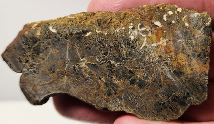 Bloody Basin Plume Agate Slab