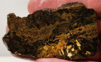 Bloody Basin Plume Agate Slab