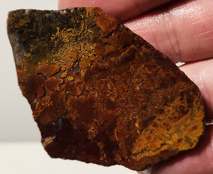 Bloody Basin Plume Agate Slab