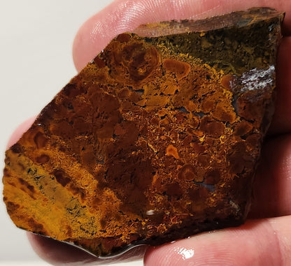Bloody Basin Plume Agate Slab