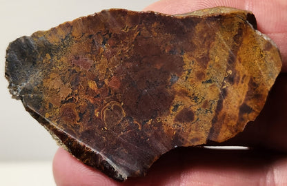 Bloody Basin Plume Agate Slab