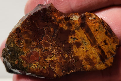 Bloody Basin Plume Agate Slab