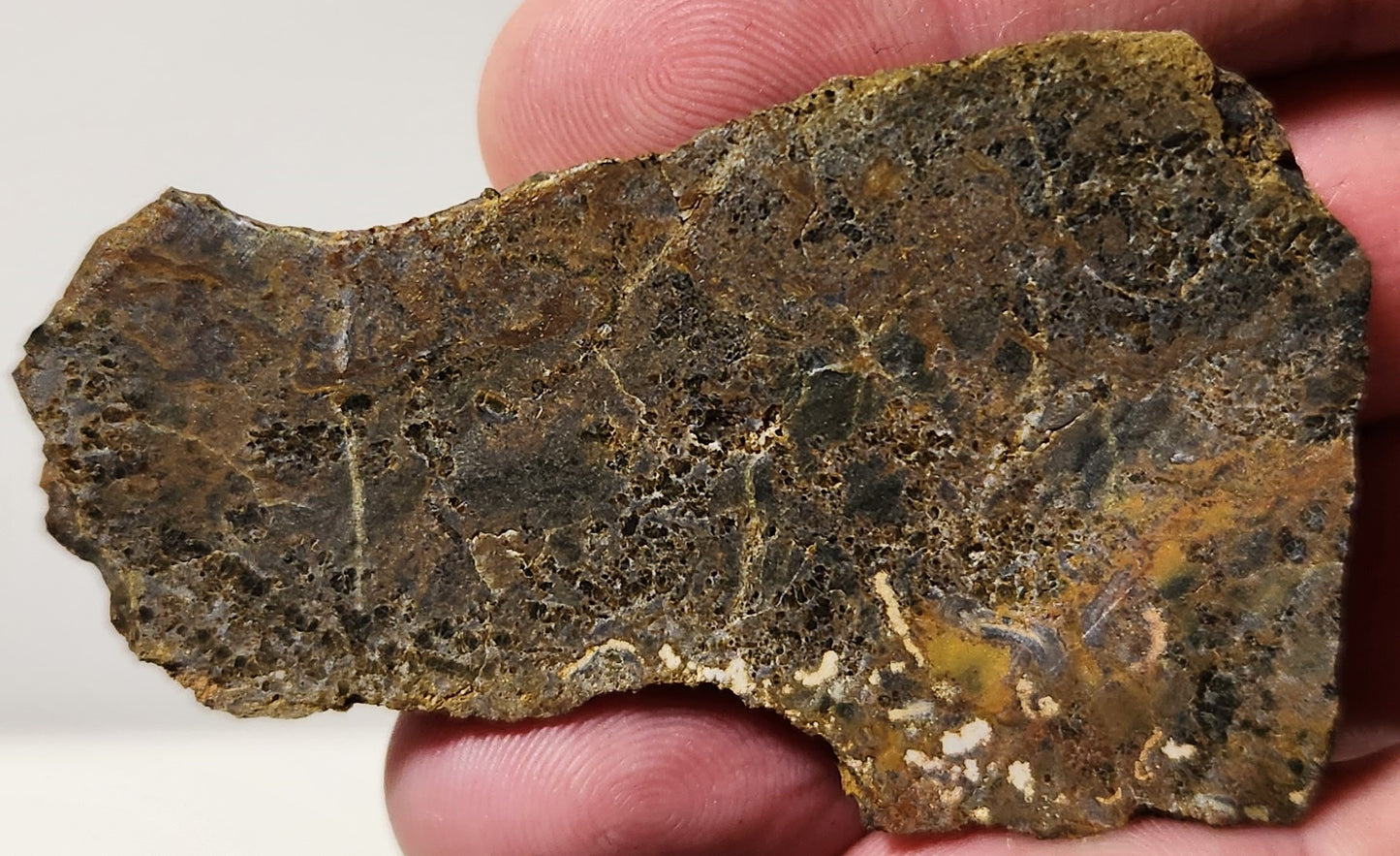 Bloody Basin Plume Agate Slab