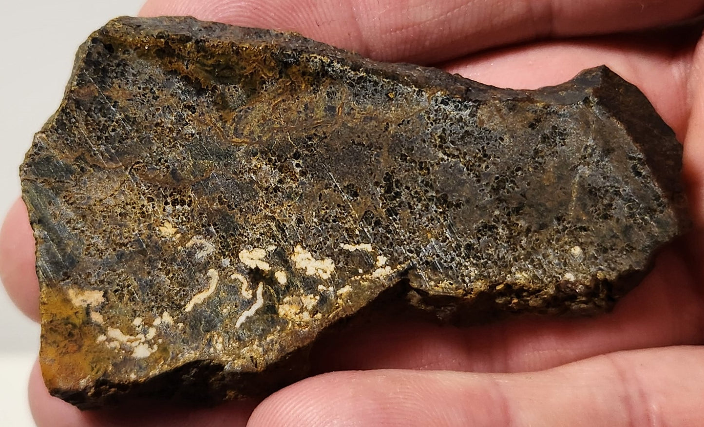 Bloody Basin Plume Agate Slab