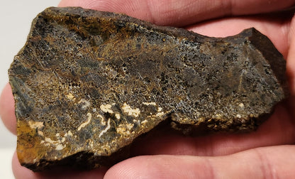 Bloody Basin Plume Agate Slab