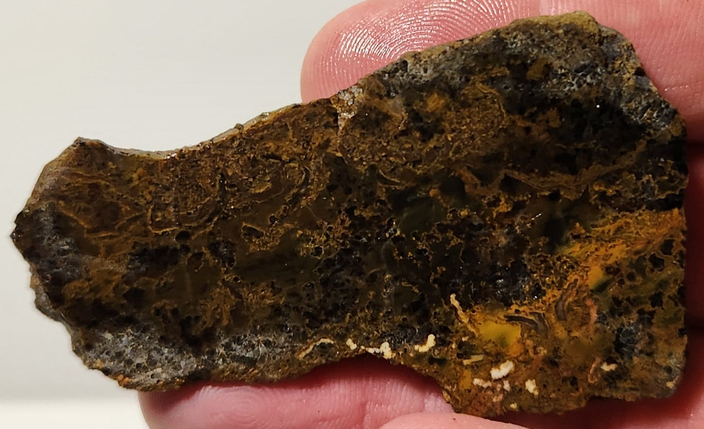 Bloody Basin Plume Agate Slab