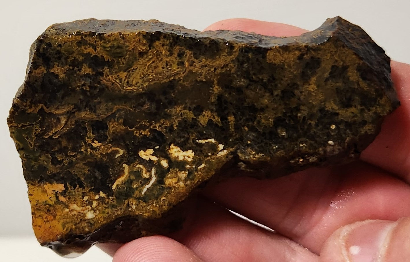 Bloody Basin Plume Agate Slab