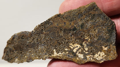 Bloody Basin Plume Agate Slab