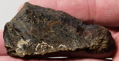 Bloody Basin Plume Agate Slab