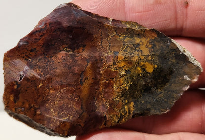Bloody Basin Plume Agate Slab