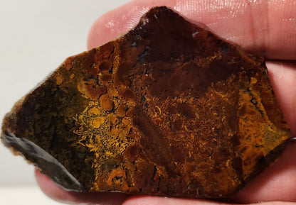 Bloody Basin Plume Agate Slab