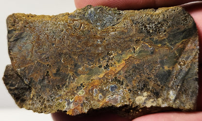 Bloody Basin Plume Agate Slab