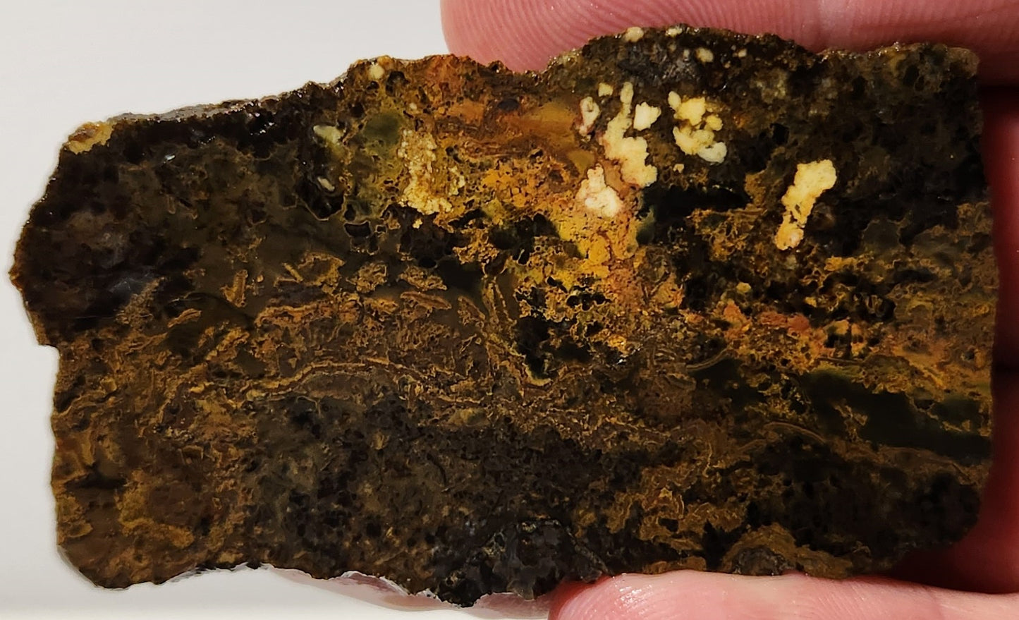 Bloody Basin Plume Agate Slab