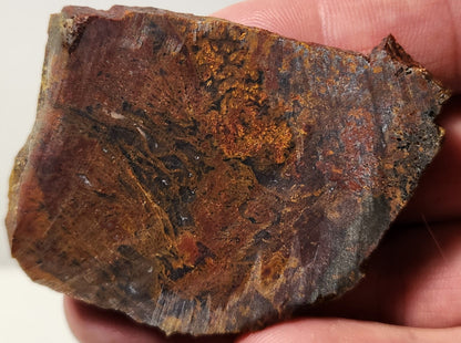 Bloody Basin Plume Agate Slab