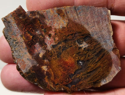 Bloody Basin Plume Agate Slab
