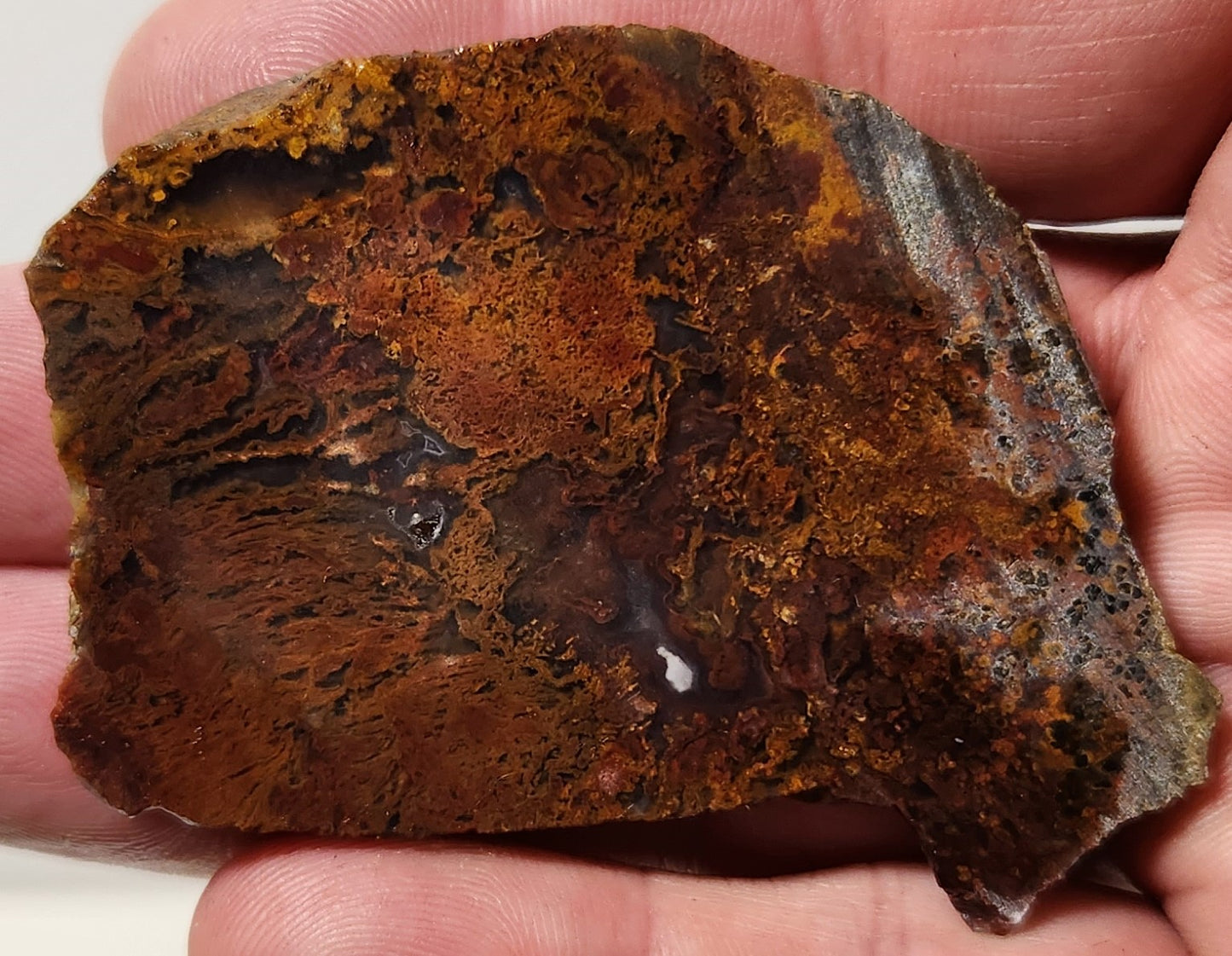 Bloody Basin Plume Agate Slab