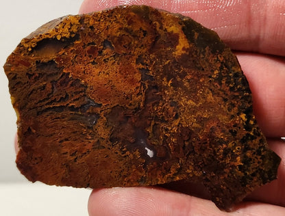 Bloody Basin Plume Agate Slab