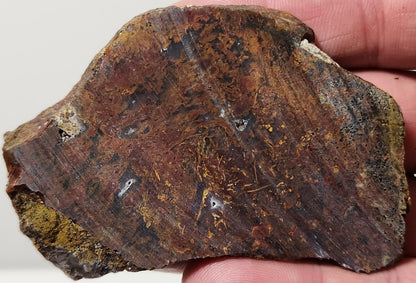 Bloody Basin Plume Agate Slab