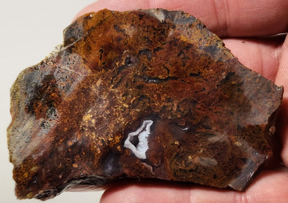 Bloody Basin Plume Agate Slab