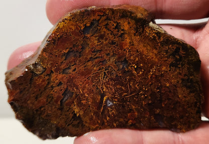 Bloody Basin Plume Agate Slab