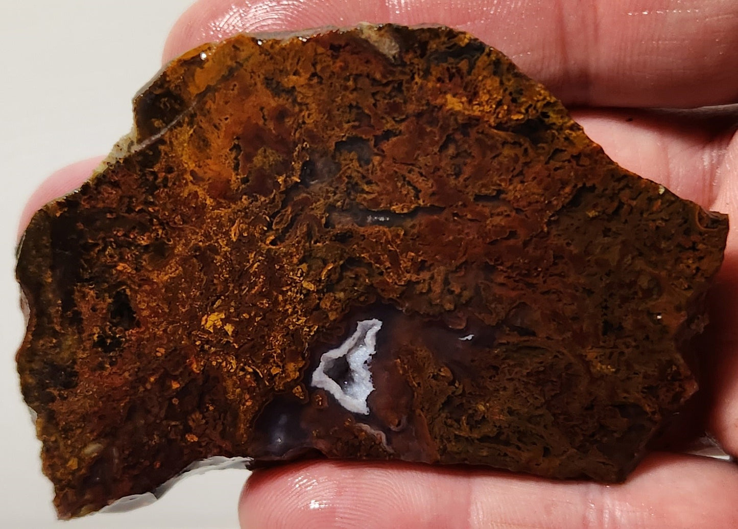 Bloody Basin Plume Agate Slab