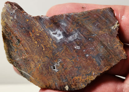 Bloody Basin Plume Agate Slab