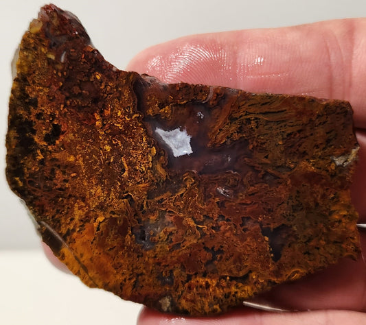Bloody Basin Plume Agate Slab