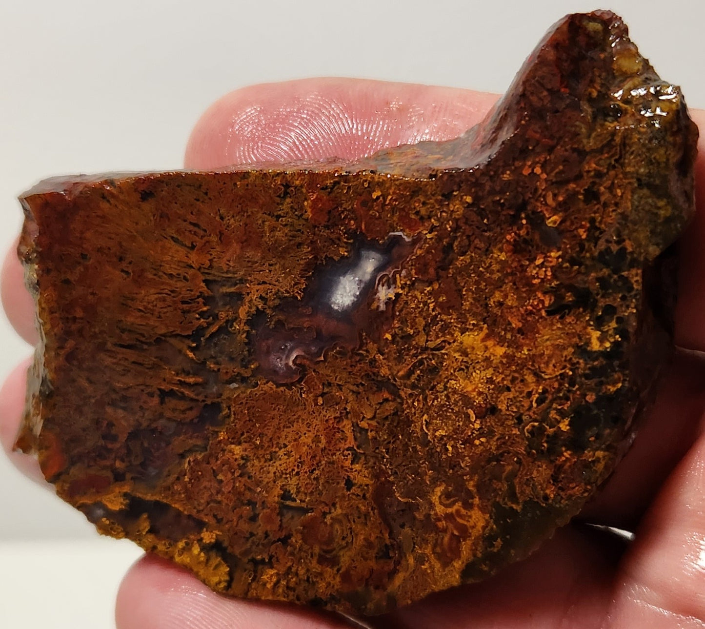 Bloody Basin Plume Agate Slab