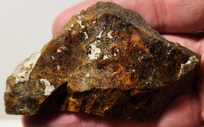 Bloody Basin Plume Agate Slab (End Piece)