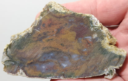 Rodeo Flats Red/Orange Plume with Blue Fortifications Agate Slab