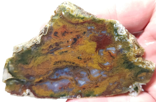 Rodeo Flats Red/Orange Plume with Blue Fortifications Agate Slab