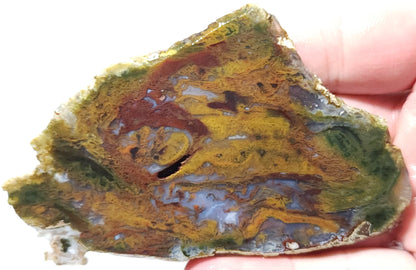 Rodeo Flats Red/Orange Plume with Blue Fortifications Agate Slab