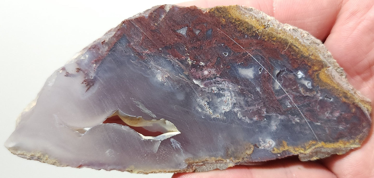 Rodeo Flats Red Plume Agate Slab