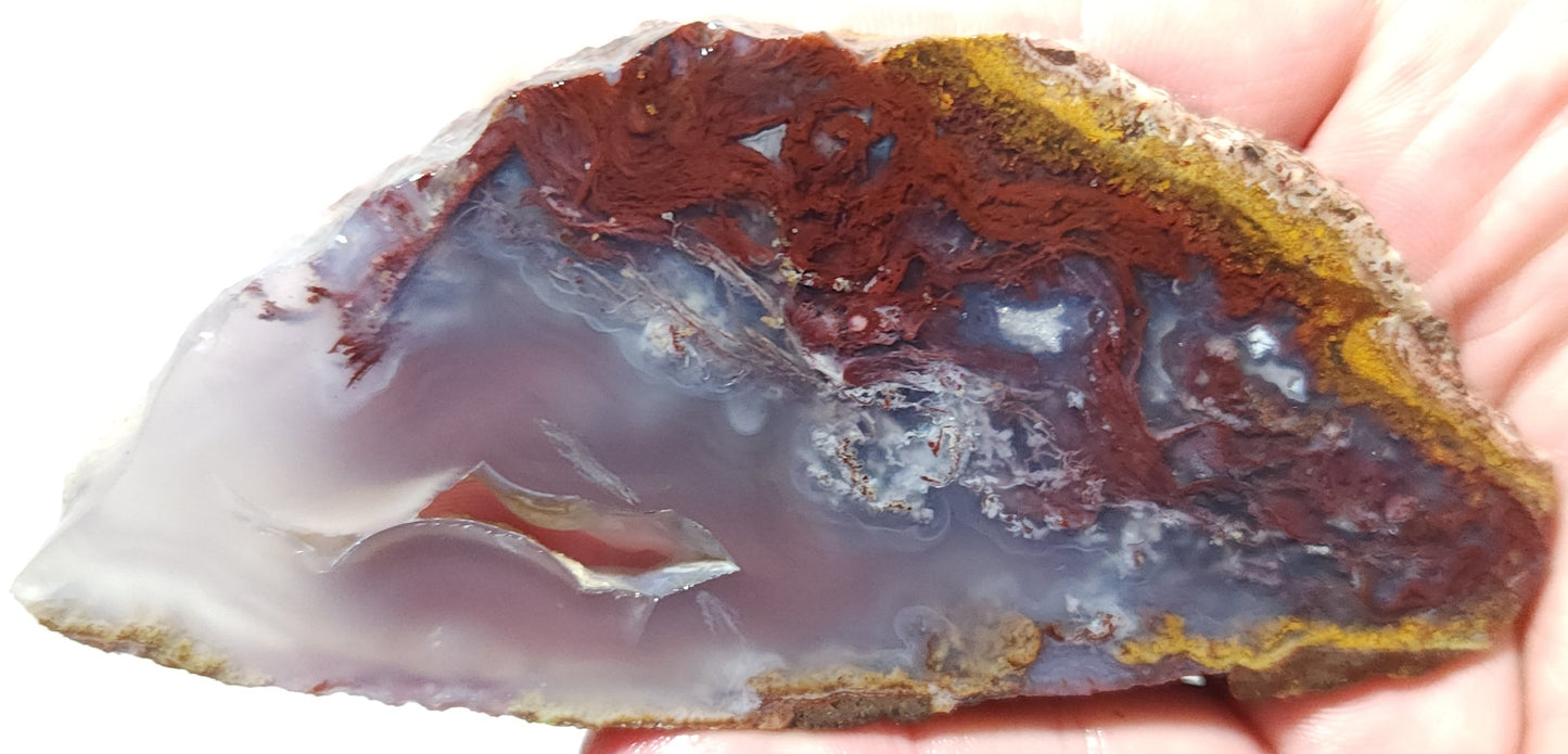Rodeo Flats Red Plume Agate Slab