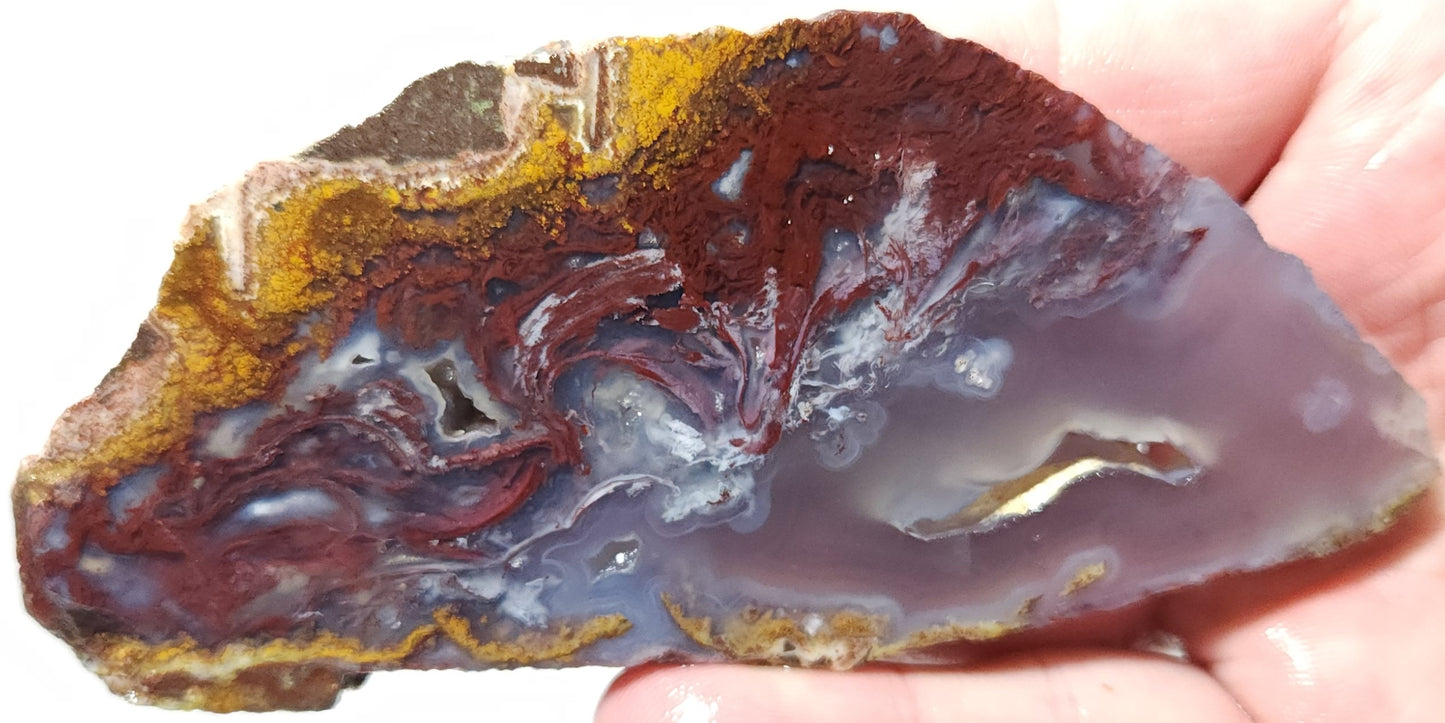 Rodeo Flats Red Plume Agate Slab