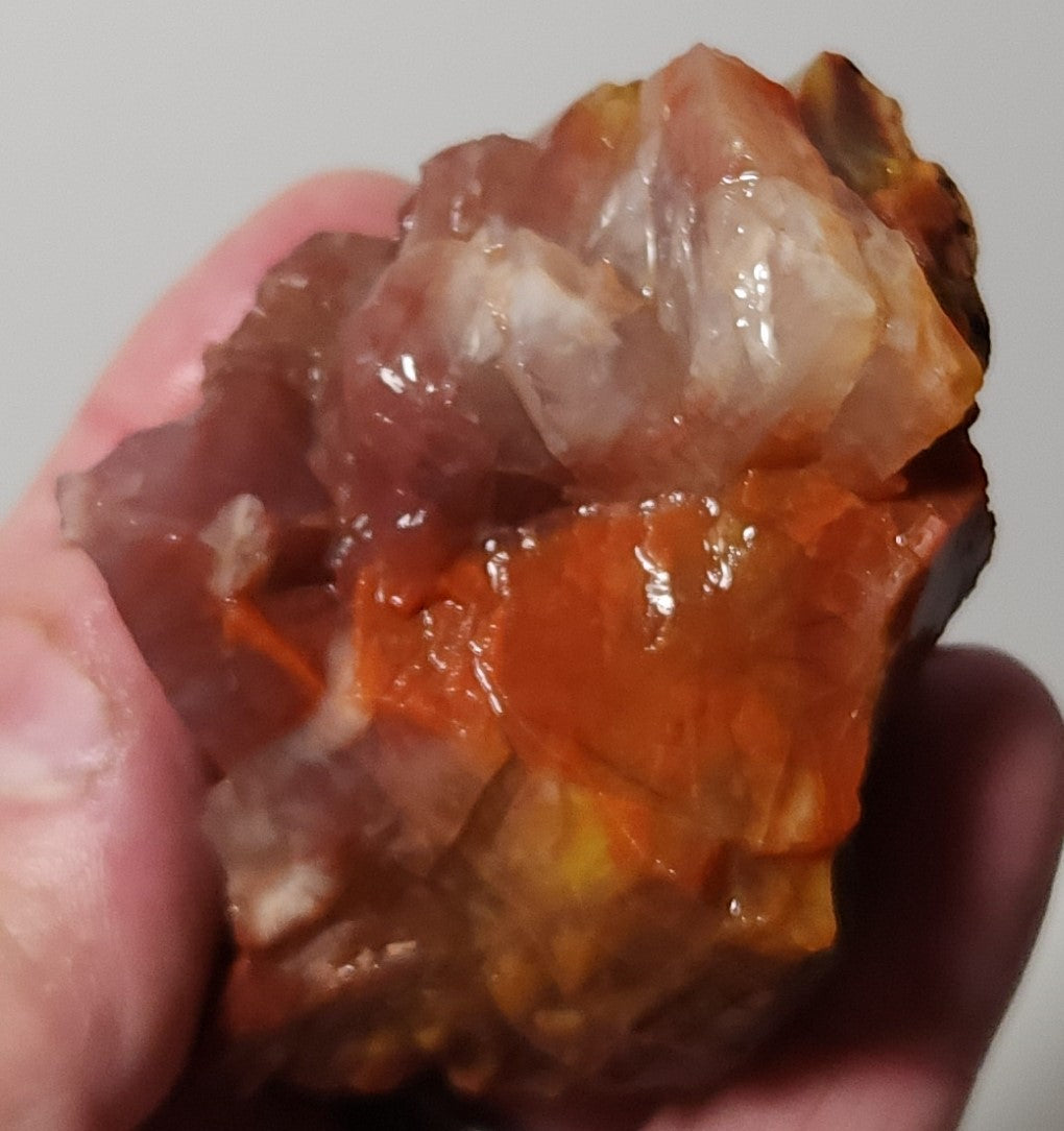 Arizona Petrified Wood