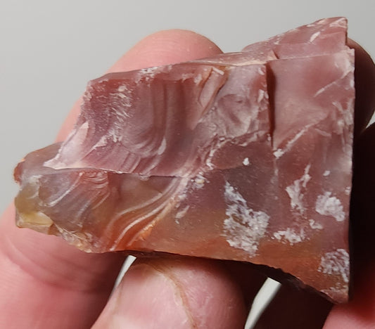 Arizona Petrified Wood