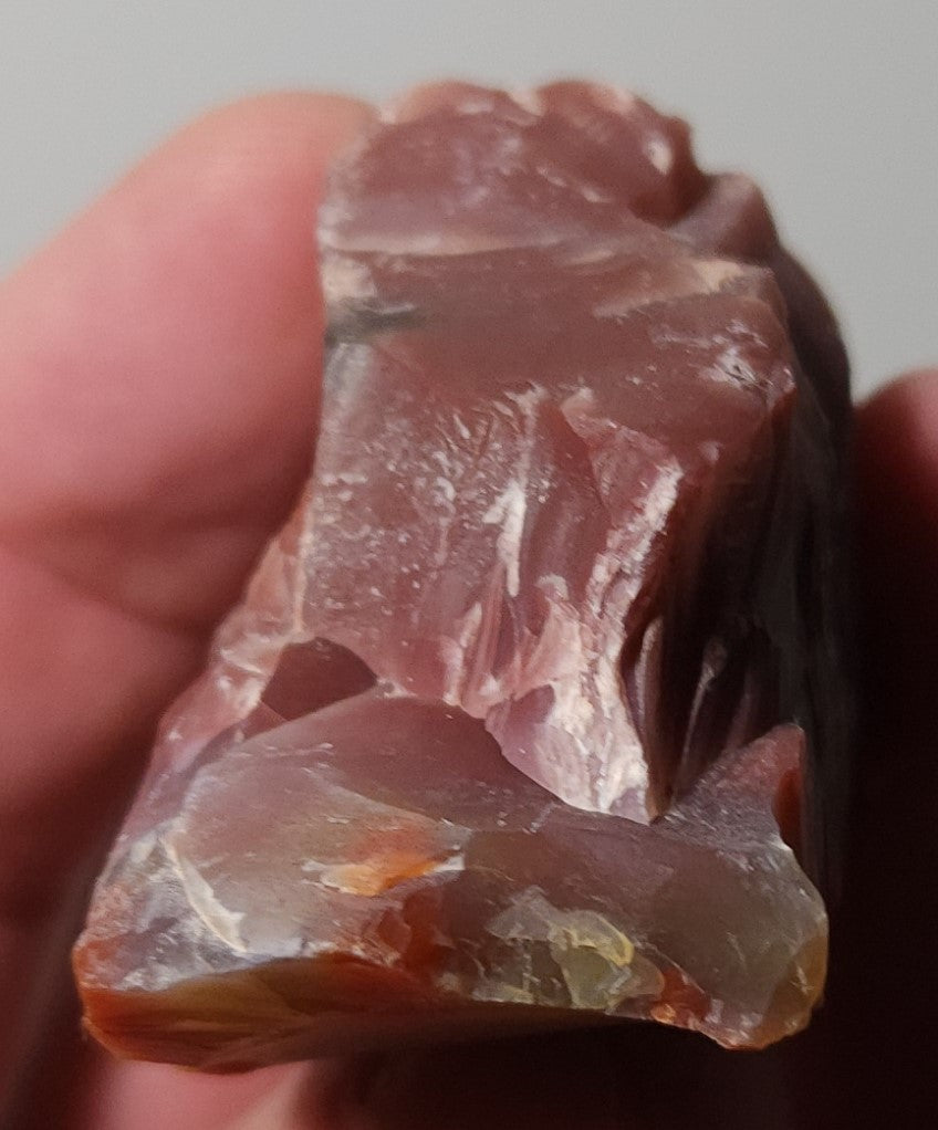 Arizona Petrified Wood