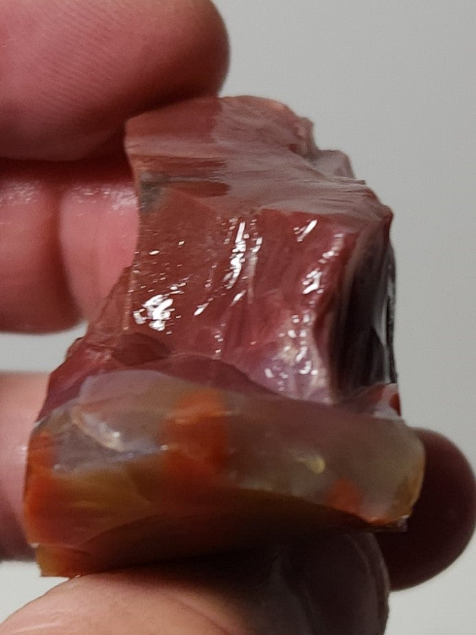 Arizona Petrified Wood