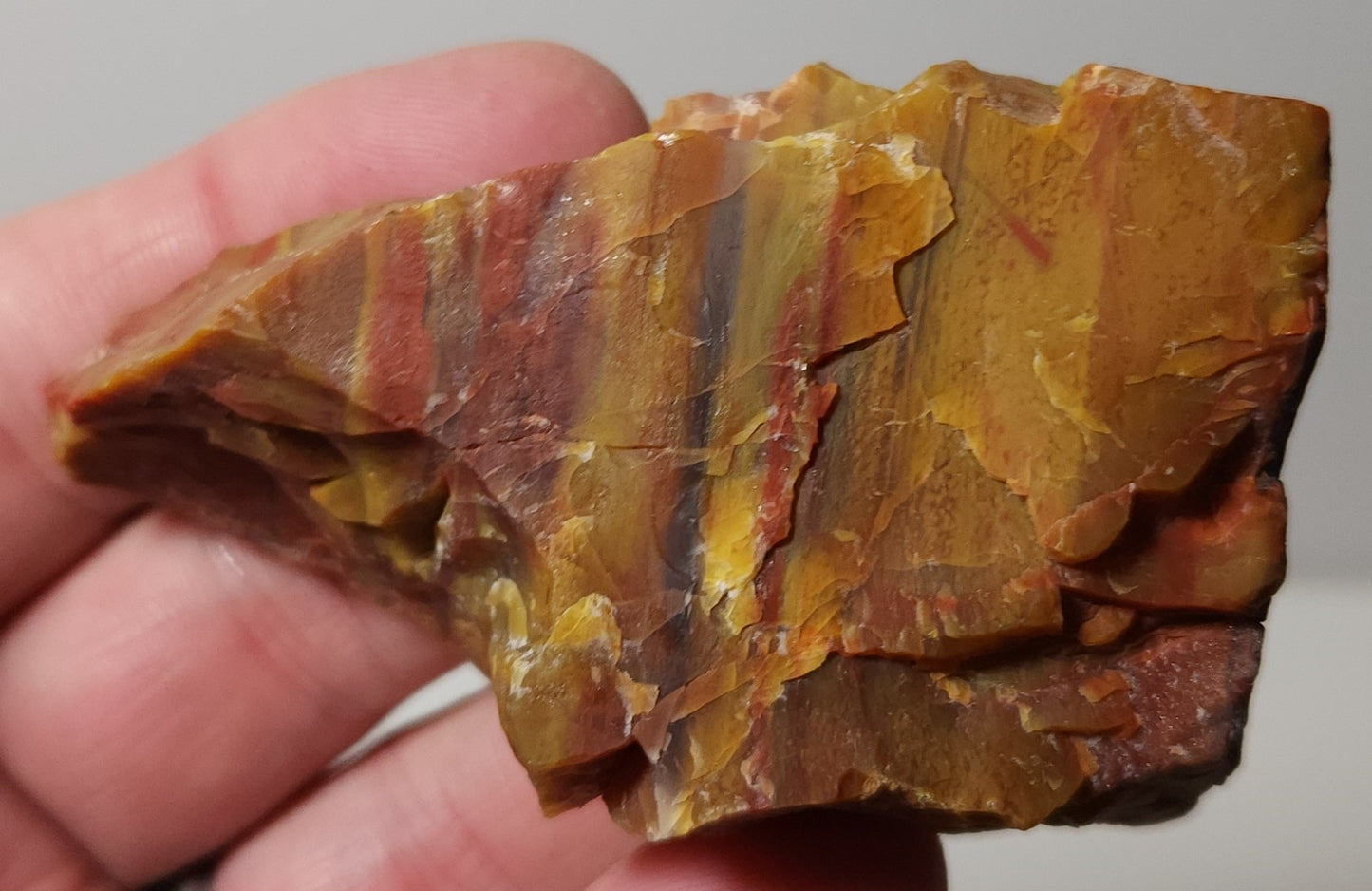 Arizona Petrified Wood with Bark
