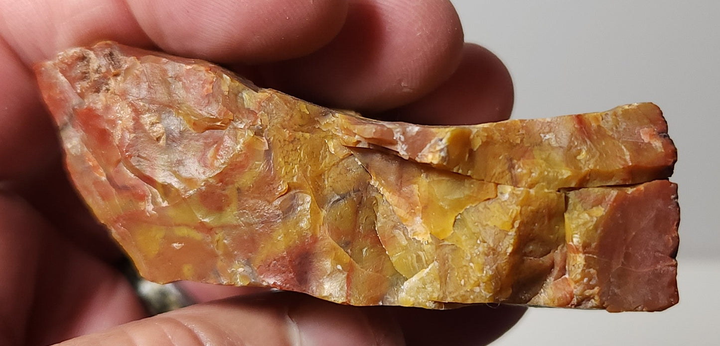 Arizona Petrified Wood with Bark