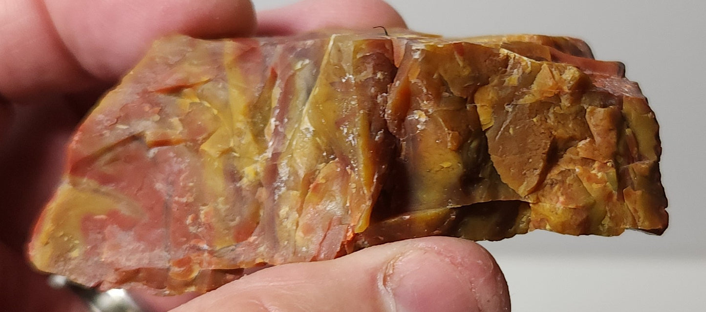 Arizona Petrified Wood with Bark