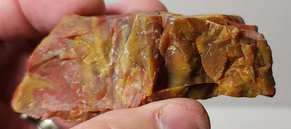 Arizona Petrified Wood with Bark