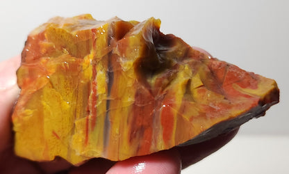 Arizona Petrified Wood with Bark