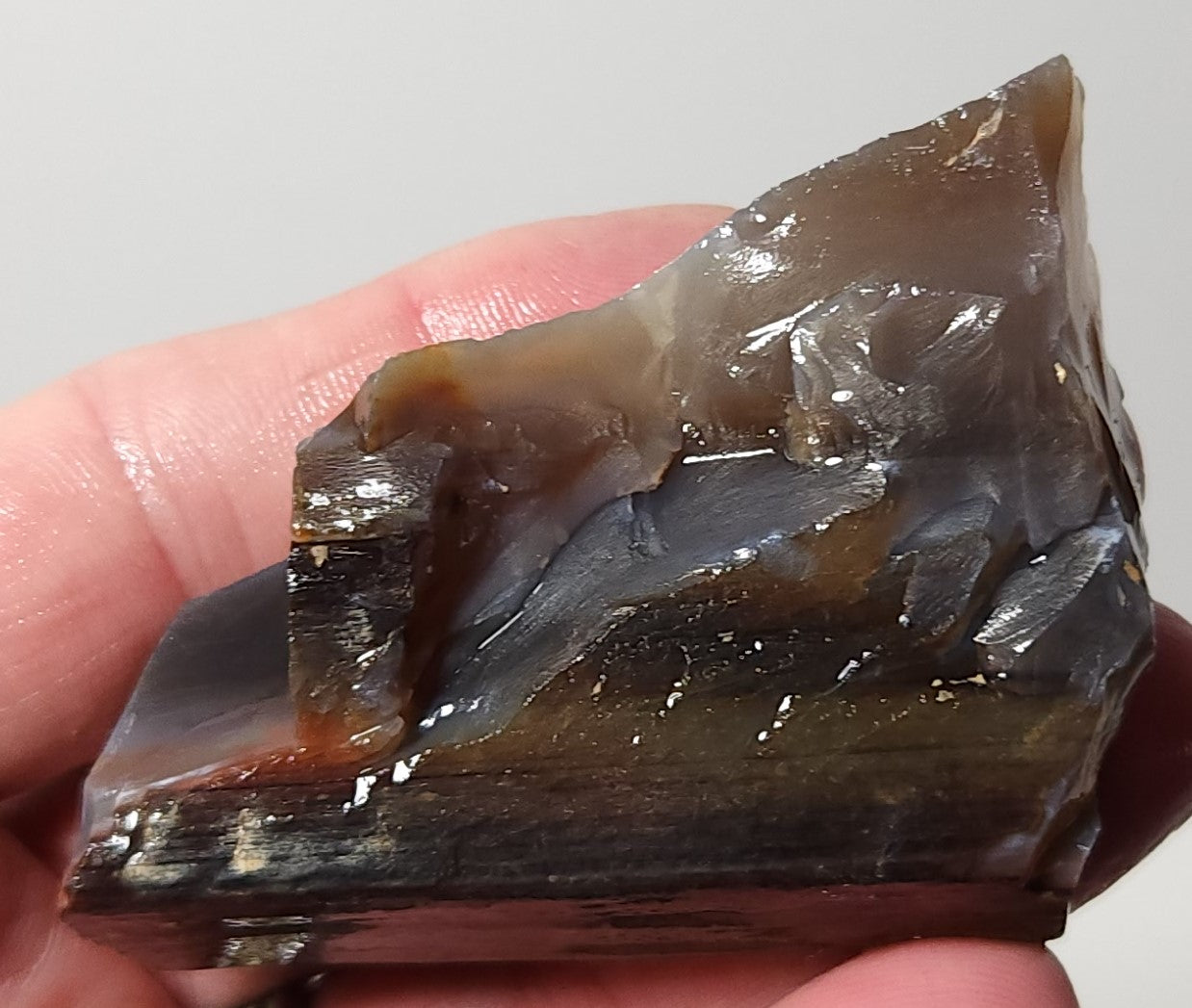 Arizona Petrified Wood with Bark