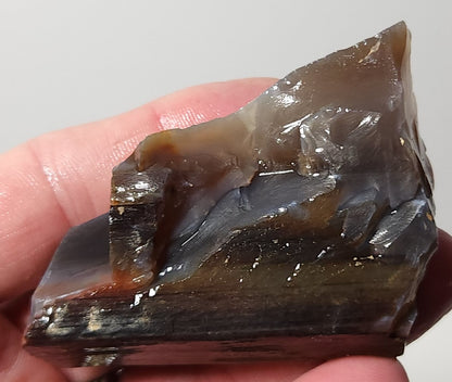 Arizona Petrified Wood with Bark